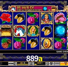 Descubra o Mundo do Cassino Online com 889a